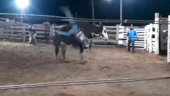 Jovem de 17 anos morre ao ser pisoteado por boi durante treinamento de montaria em MT; veja vídeo