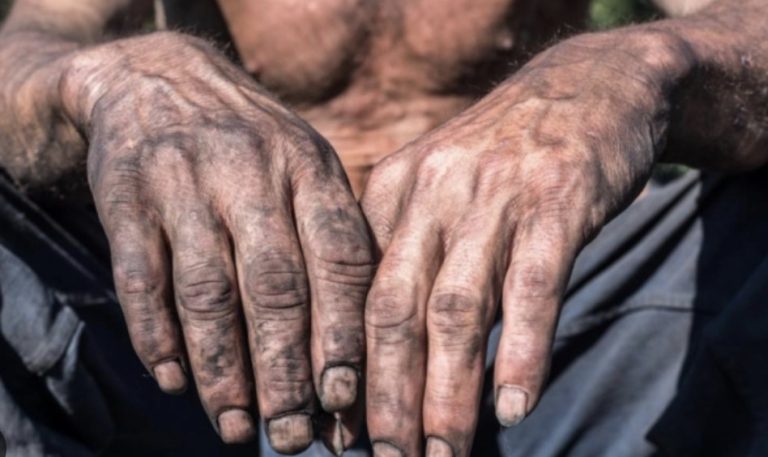 Mais de 600 trabalhadores são resgatados do trabalho escravo em Mato Grosso