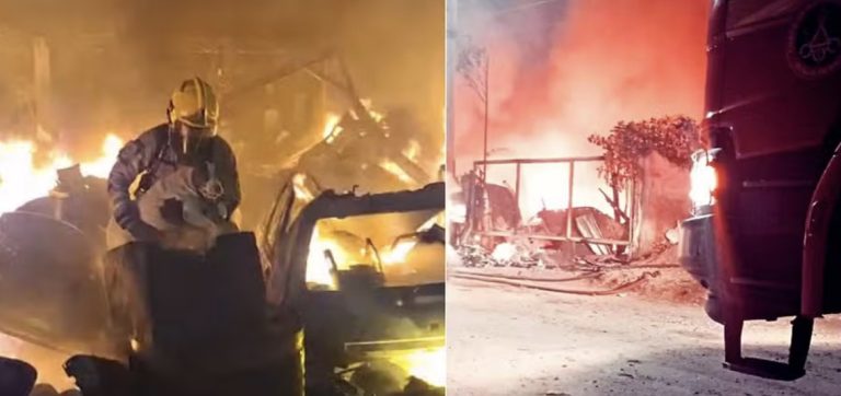 VÍDEO: cadela é encontrada em banheiro e resgatada de incêndio em depósito.
