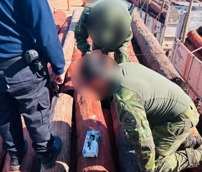 PF e Receita interceptam carga histórica de cocaína líquida oculta em 130 toneladas de madeira em MT; veja vídeo