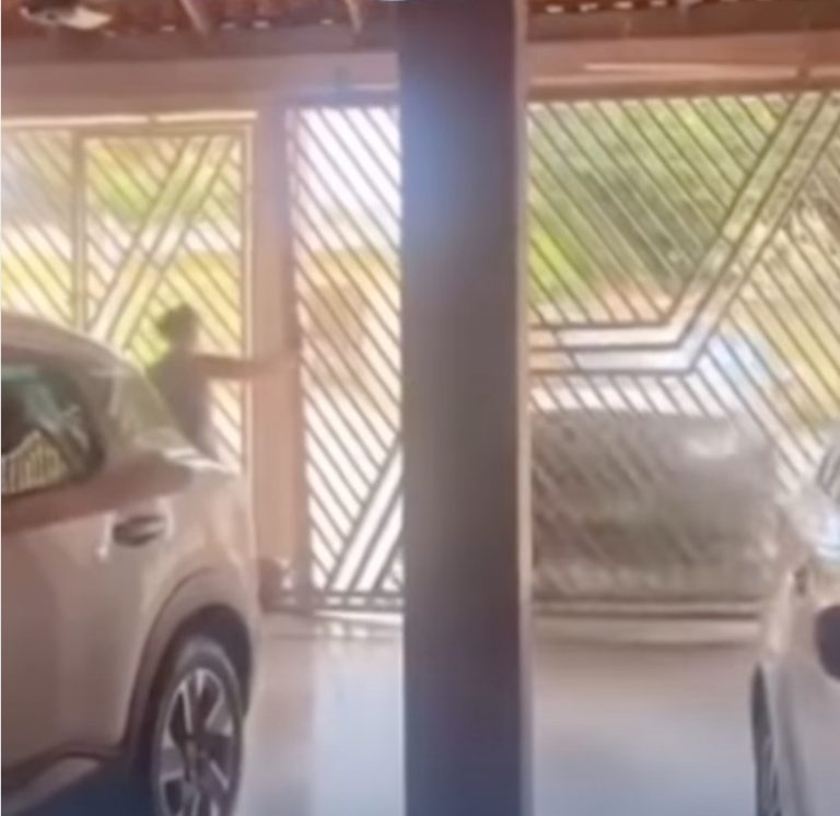 Estudante de medicina é presa após invadir casa com carro e matar idoso prensado; veja vídeo