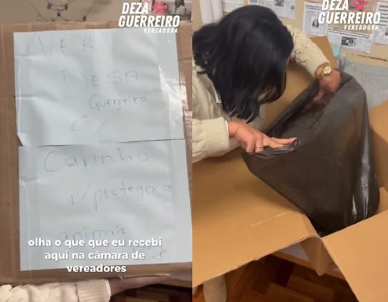 Vereadora da causa animal recebe caixa com cão morto em gabinete no RS; veja vídeo