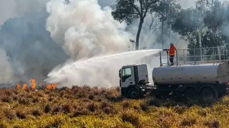 Incêndio florestal dura cinco dias e mobiliza força-tarefa em Cáceres; veja vídeo